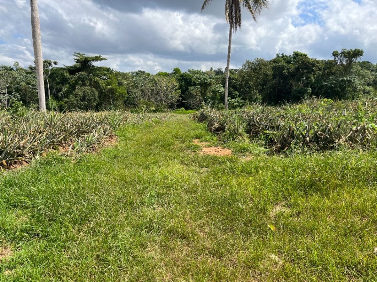 Terreno amplio en Zambrana Arriba, Cotuí – foto 6