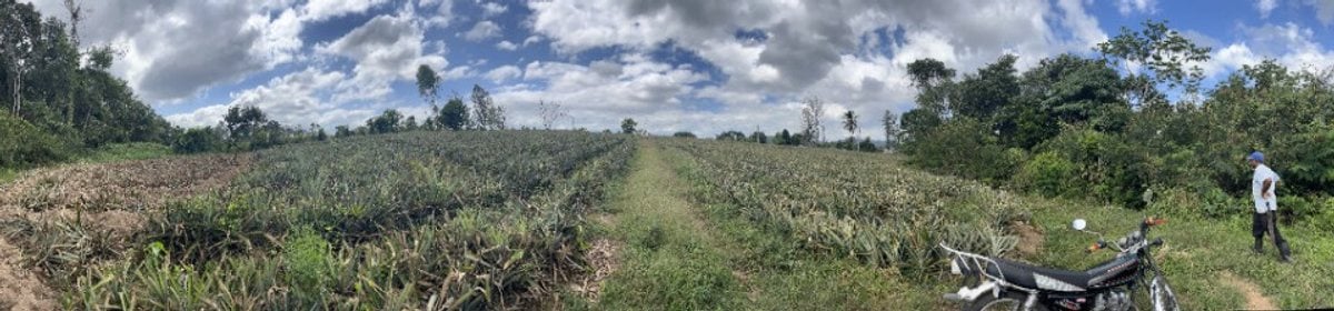 Terreno amplio en Zambrana Arriba, Cotuí – foto 3