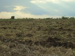 Terreno en venta en Las Parradas, San Antonio de Guerra – foto 1