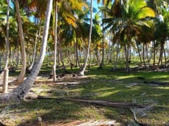 Terreno en venta en Miches o Higüey – foto 4