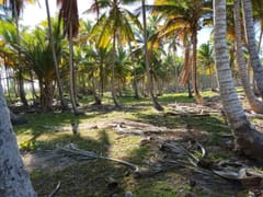 Terreno en venta en Miches o Higüey – foto 3