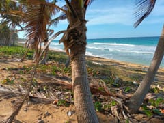 Terreno en venta en Miches o Higüey – foto 2