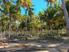 Terreno en venta en Miches o Higüey – foto 5