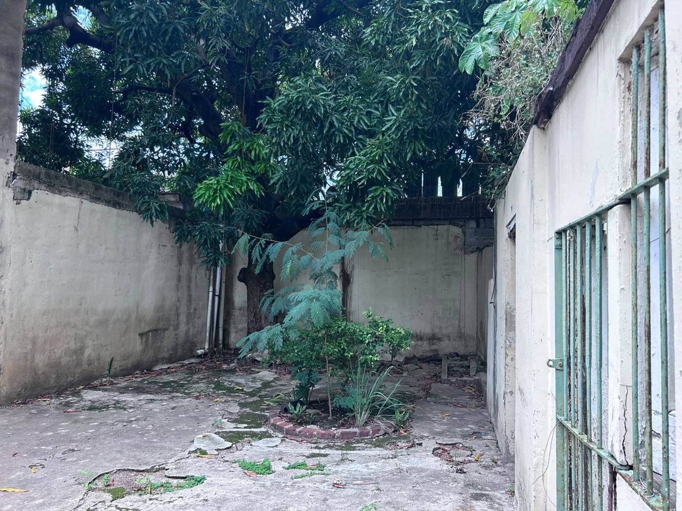 propiedad colonial VENTA- ALQUILER zona colonial – foto 7
