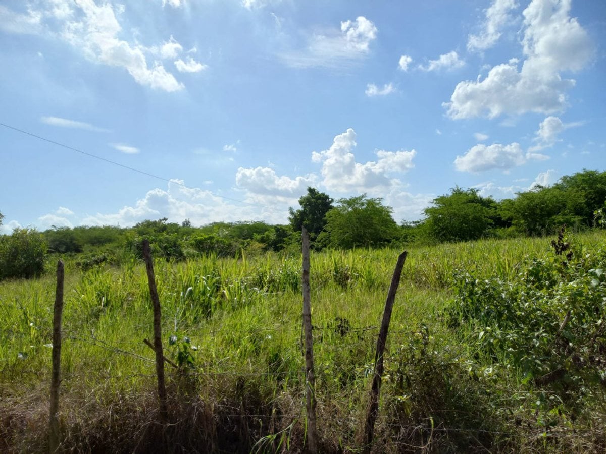 Terreno para naves por la Circunvalación-MERCA – foto 6