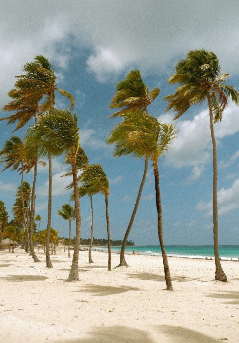 Casa En Punta Cana Village, Punta Cana – foto 4