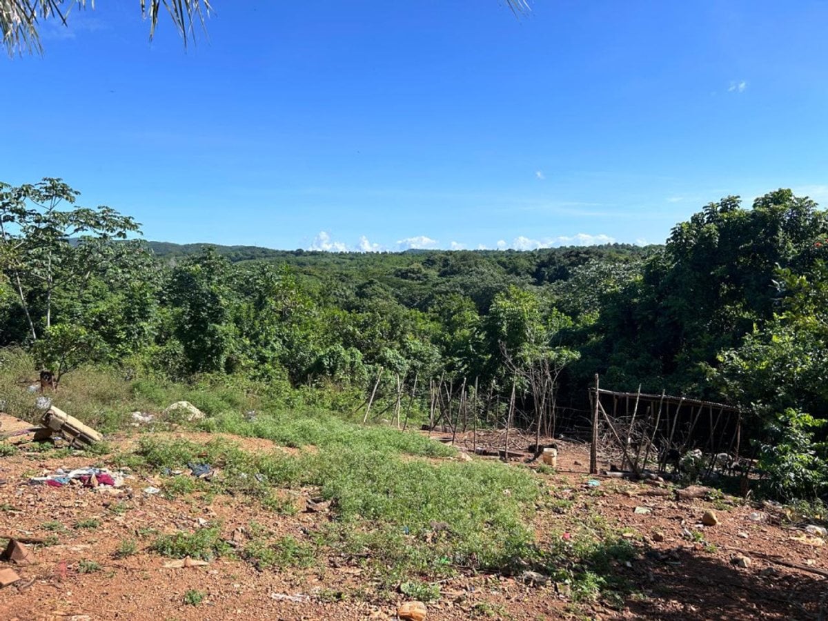 Terreno en Pedro Brand, El Pedregal – foto 1