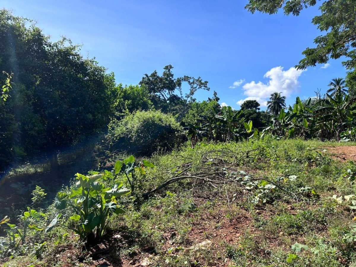 Terreno en Pedro Brand, El Pedregal – foto 9