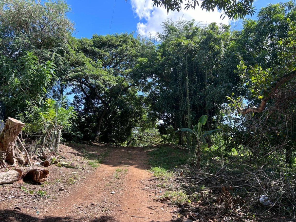 Terreno en Pedro Brand, El Pedregal – foto 2