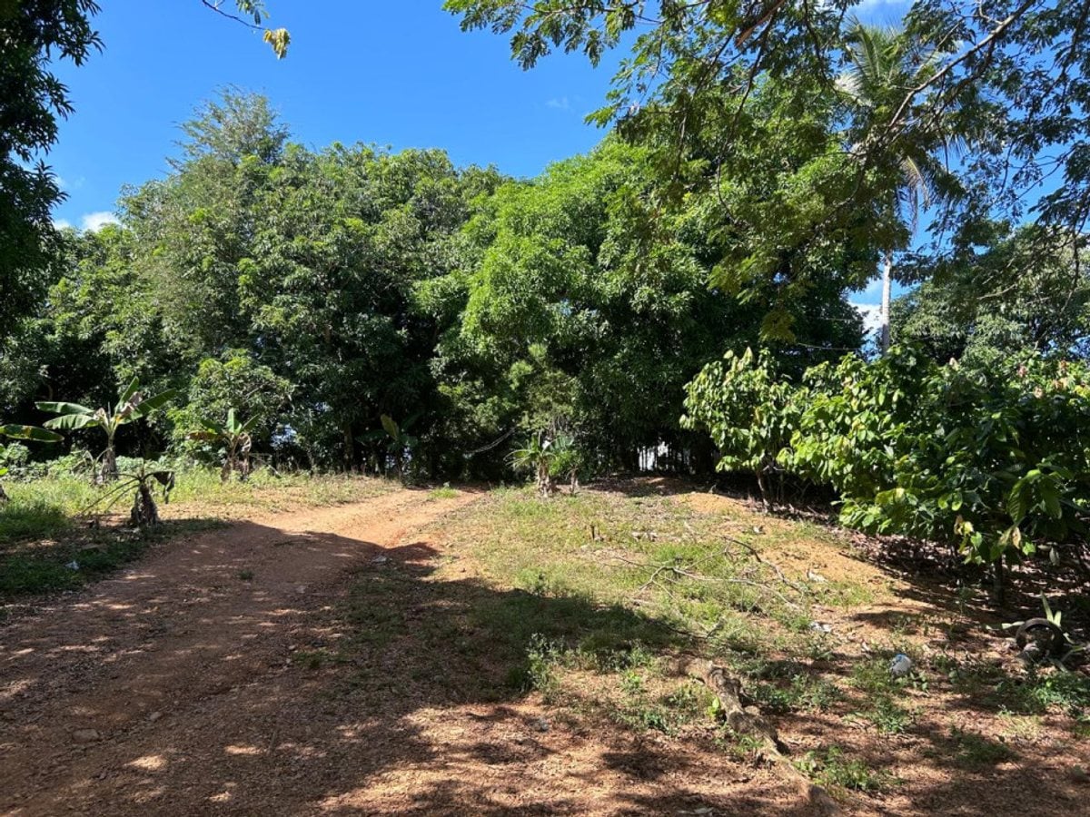 Terreno en Pedro Brand, El Pedregal – foto 4
