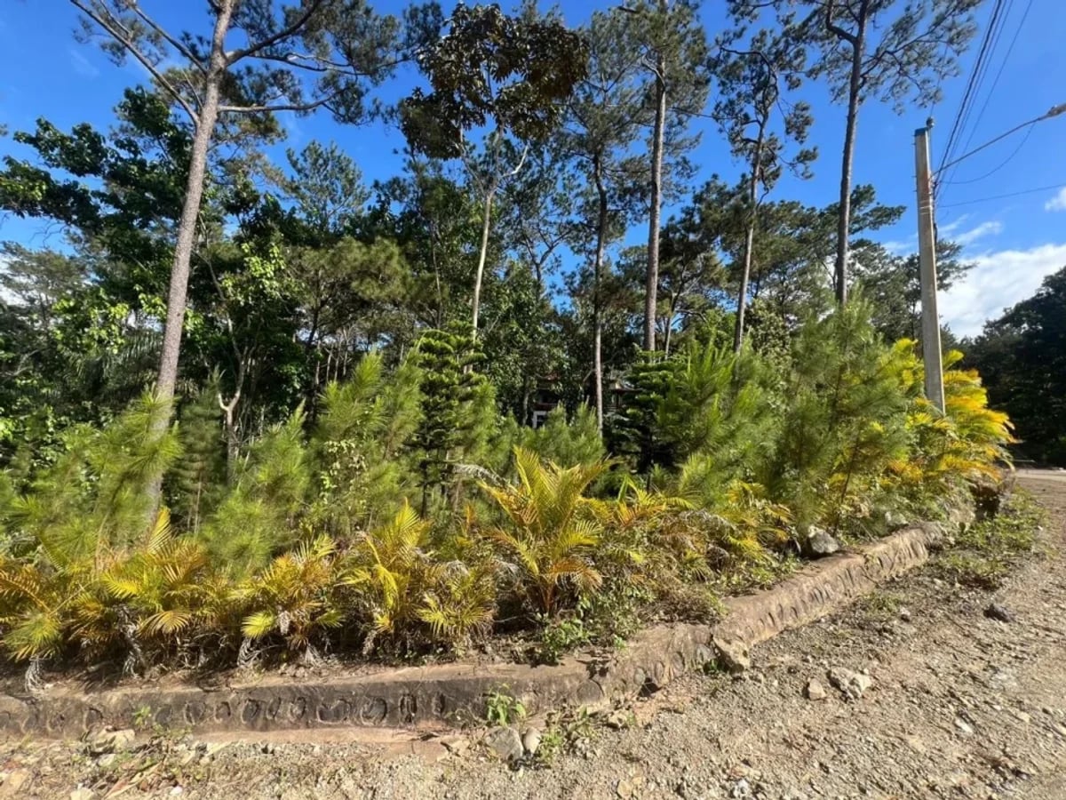 Terreno en Alterra Village, Jarabacoa – foto 4