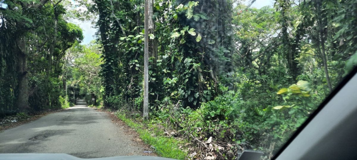 TERRENO EN VENTA 10180 M² PEDRO BRAND SANTO DOMING – foto 2