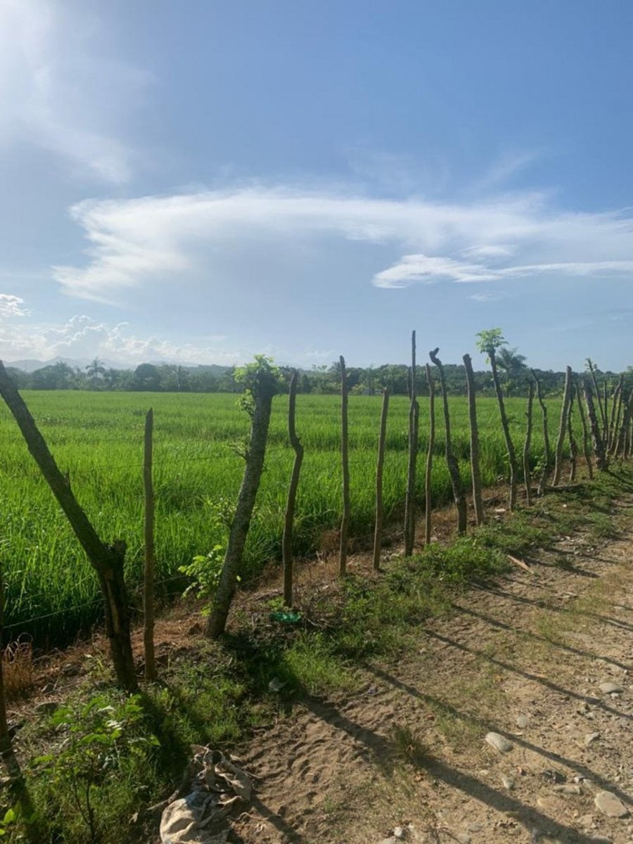 Venta de Finca en Hato Nuevo – foto 1