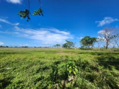 Terreno en venta en El Macao, 11,319 m² – foto 4