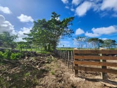 Terreno en venta en El Macao, 11,319 m² – foto 6