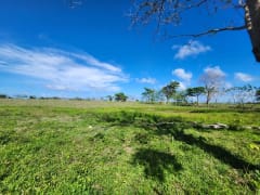 Terreno en venta en El Macao, 11,319 m² – foto 7