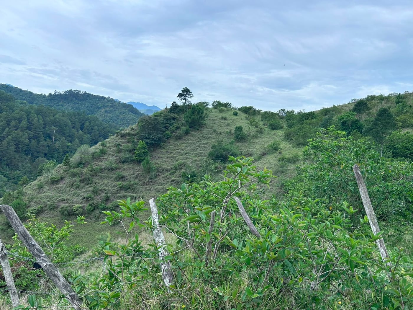 TERRENO EN VENTA LA GUAMITA LA VEGA – foto 2