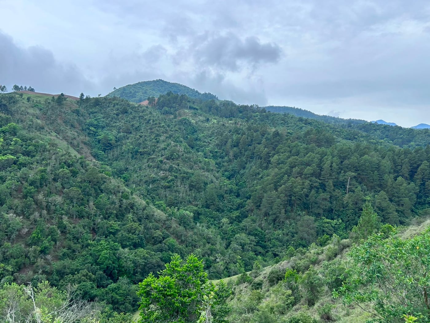 TERRENO EN VENTA LA GUAMITA LA VEGA – foto 10