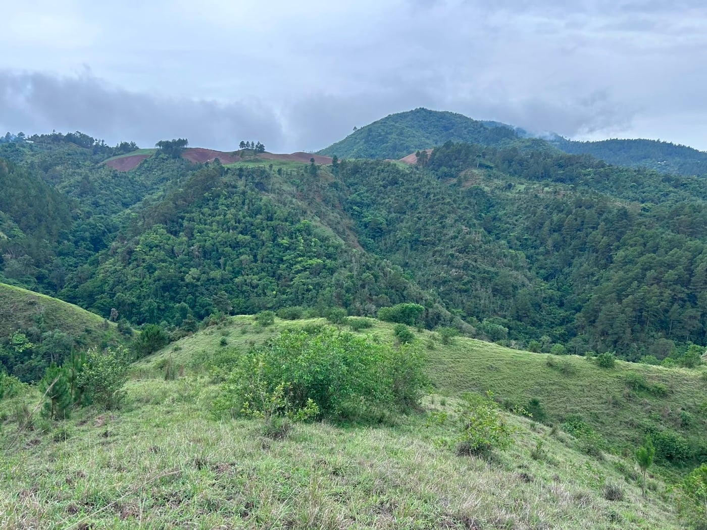 TERRENO EN VENTA LA GUAMITA LA VEGA – foto 8