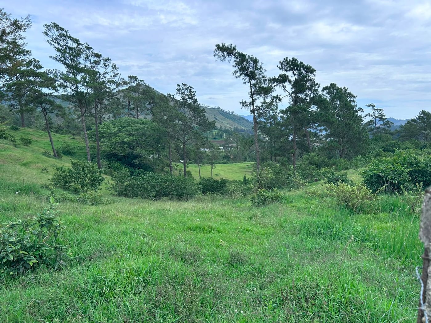 TERRENO EN VENTA LA GUAMITA LA VEGA – foto 1
