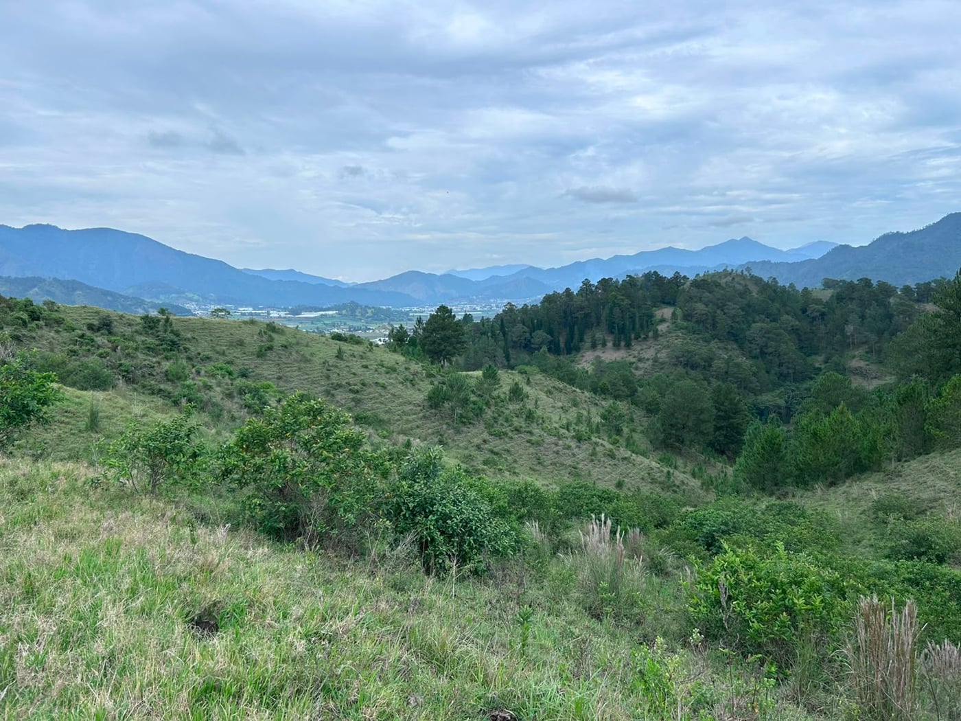 TERRENO EN VENTA LA GUAMITA LA VEGA – foto 12