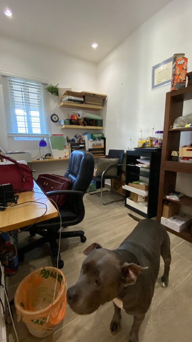 Casa de Lujo en Isabel Villas, Distrito Nacional – foto 3