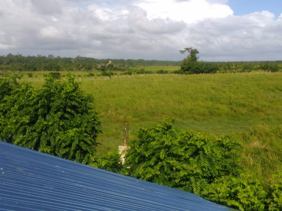 TERRENO EN VENTA 54238 M² UVERO ALTO HIGÜEY LA ALT – foto 2