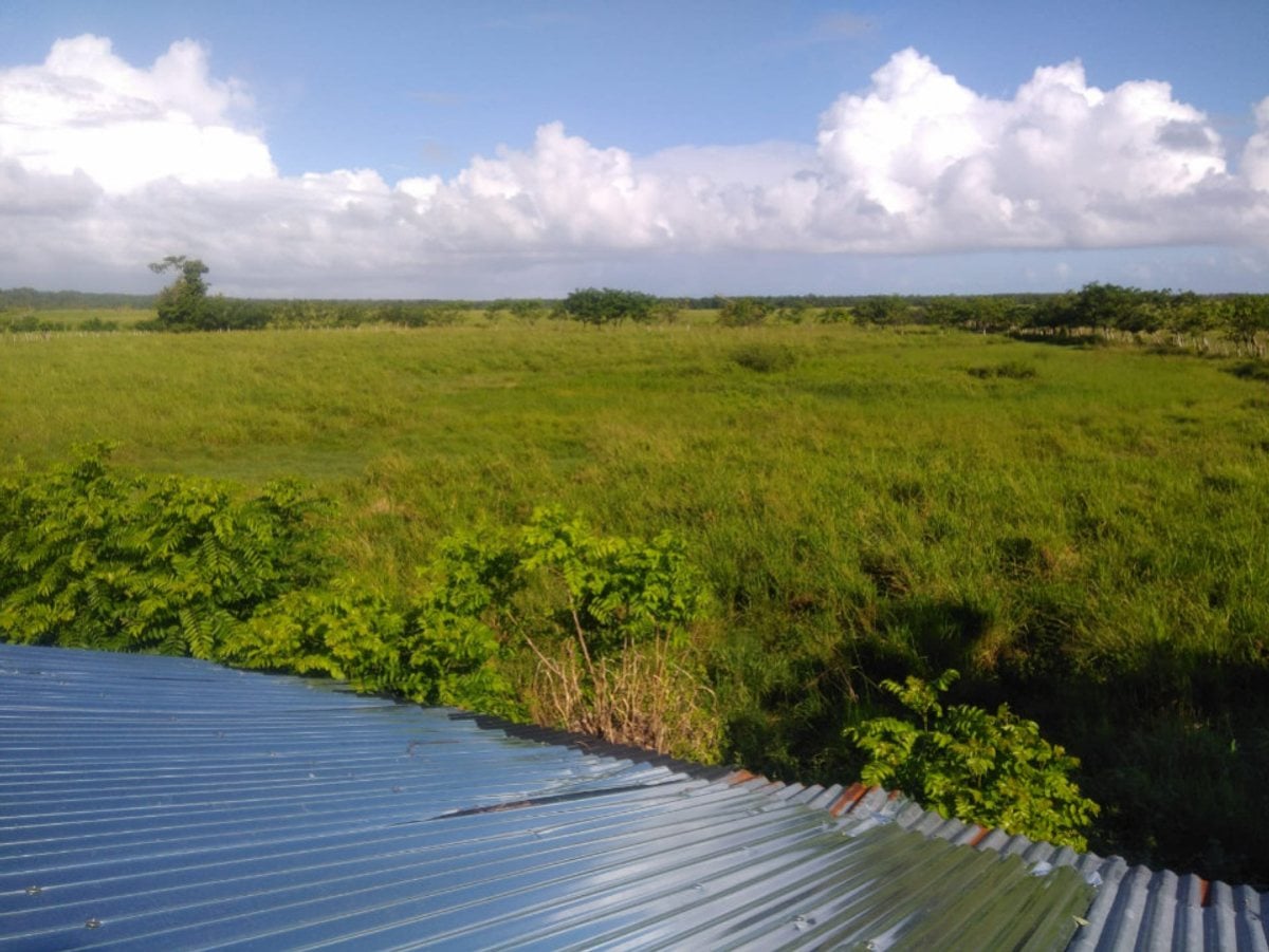 TERRENO EN VENTA 54238 M² UVERO ALTO HIGÜEY LA ALT – foto 3