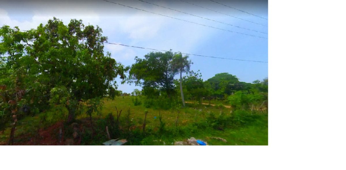 TERRENO EN VENTA 54238 M² UVERO ALTO HIGÜEY LA ALT – foto 1