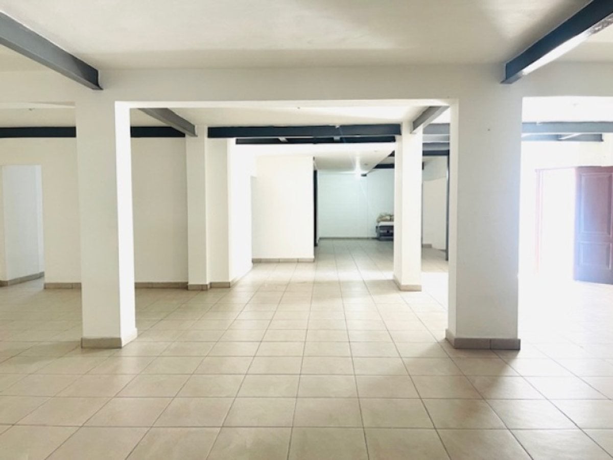 Propiedad Comercial en Zona Universitaria – foto 4