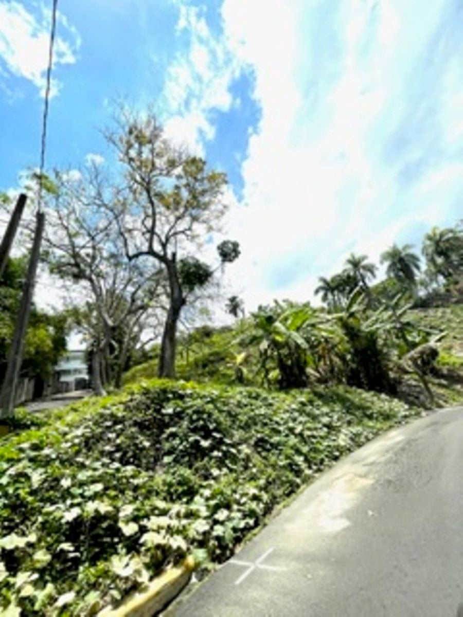 Casa / Solar En Los Pinos, Santo Domingo De Guzmán – foto 2
