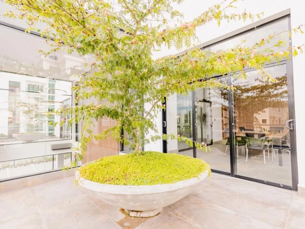 Venta de Pent-House en Santiago – foto 9