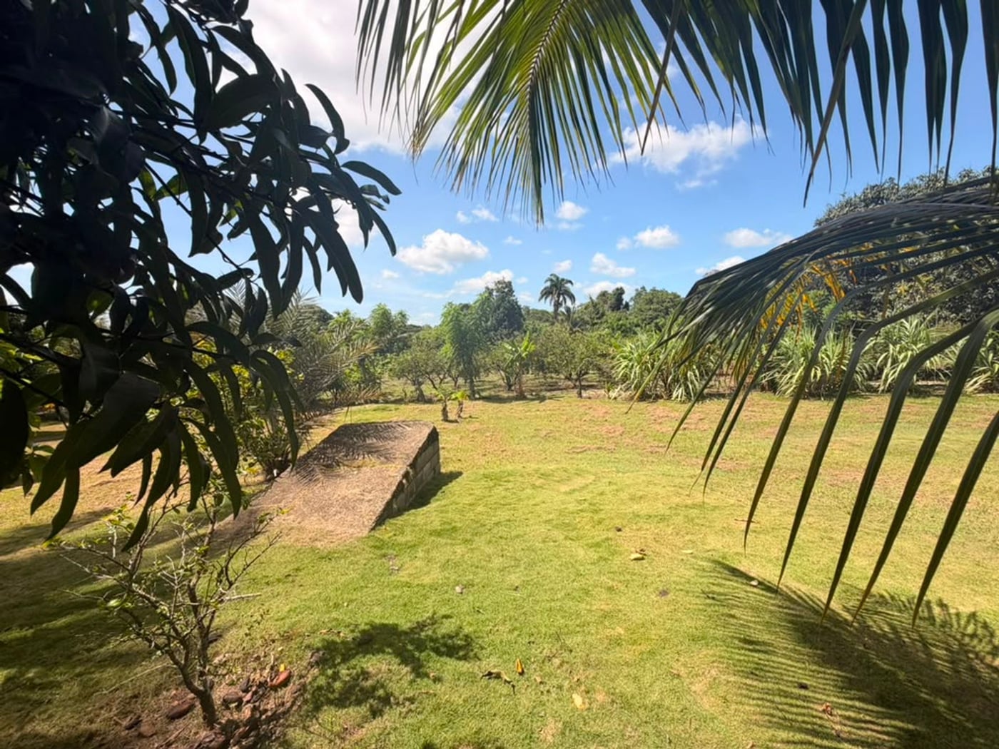 Finca Y Casa de Campo – foto 5