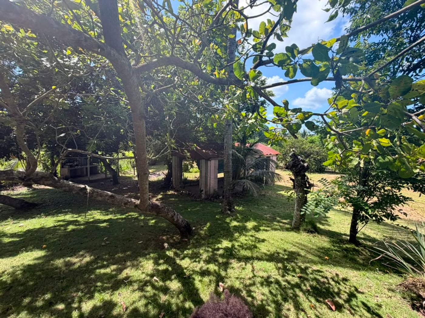 Finca Y Casa de Campo – foto 3