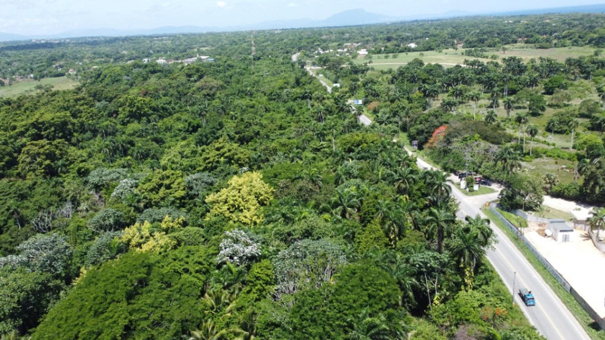 Land for sale in playa encuentro – foto 2