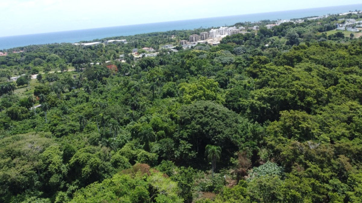 Land for sale in playa encuentro – foto 3