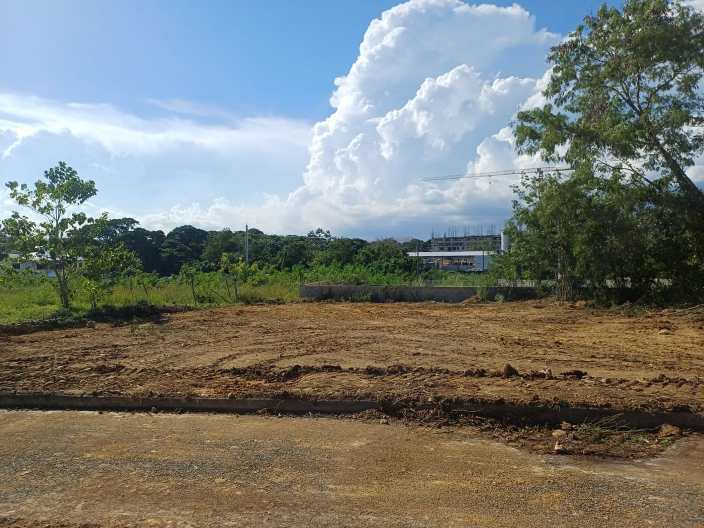 TERRENO EN VENTA AVENIDA PRESIDENTE JACOBO MAJLUTA – foto 2