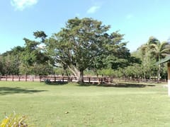 Terreno en venta en Cabarete, Sosúa – foto 2