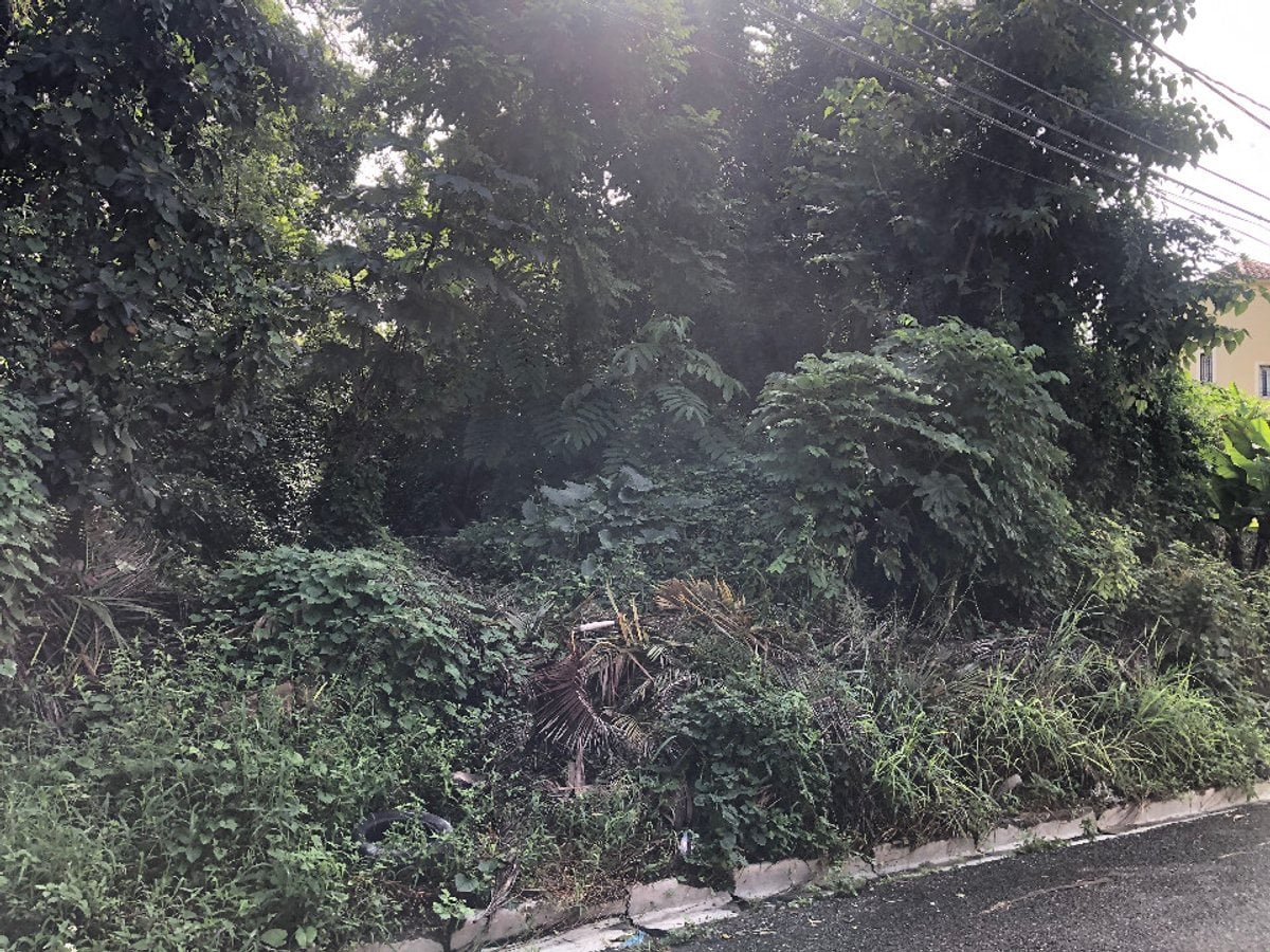 Terreno en Altos de Arroyo Hondo II – foto 1