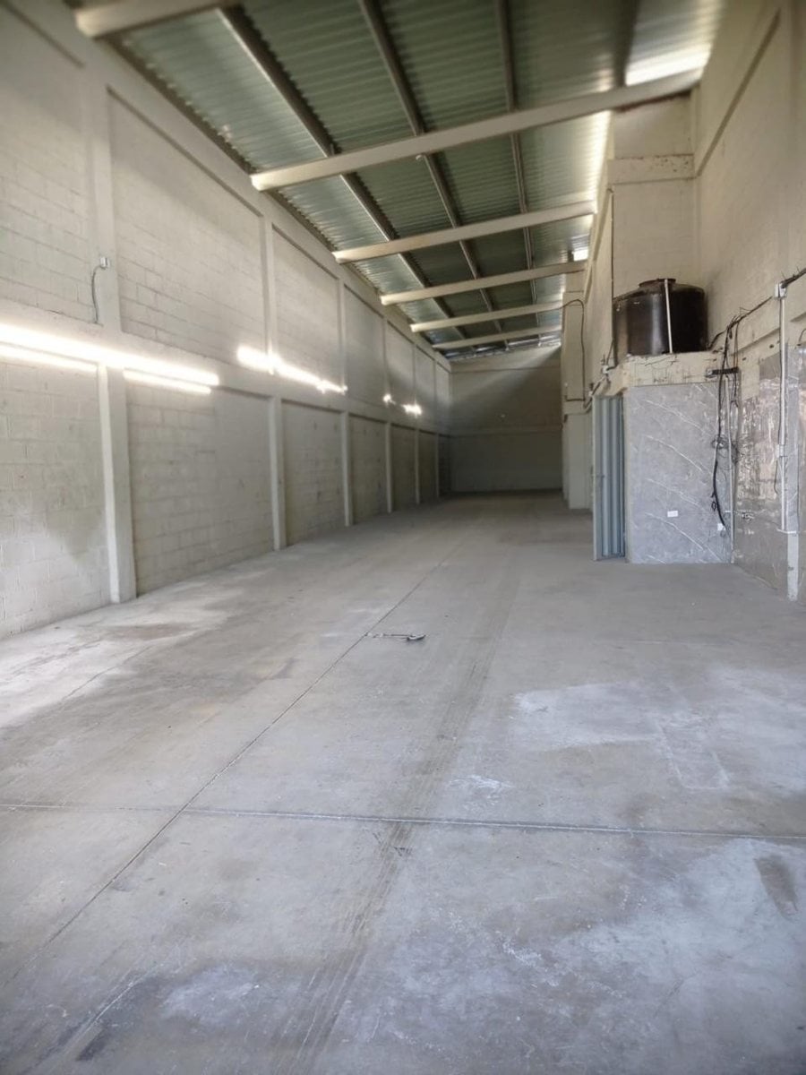 Nave alquiler próximo 5to. centenario – foto 5
