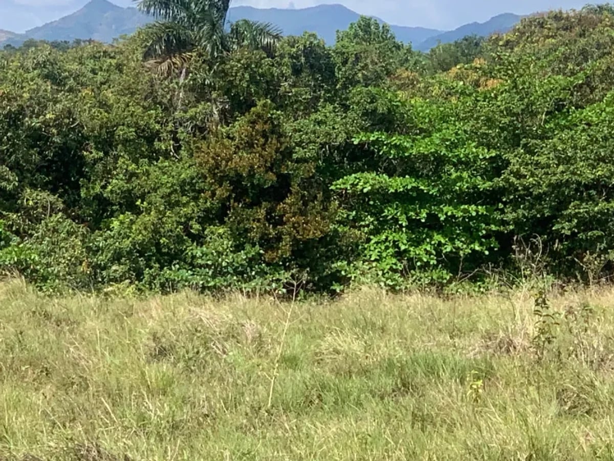 Terreno en San Gregorio de Nigua, SAN CRISTÓBAL – foto 2