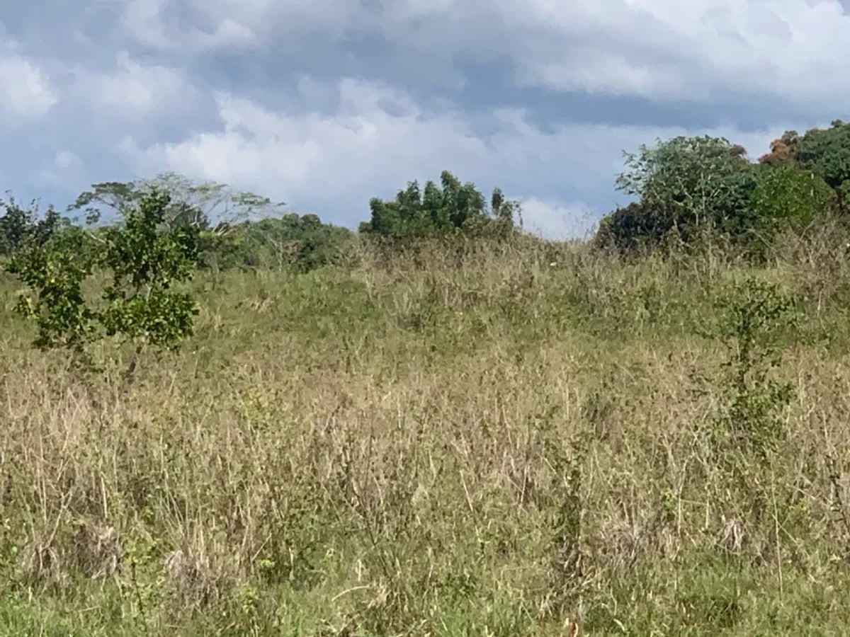 Terreno en San Gregorio de Nigua, SAN CRISTÓBAL – foto 3