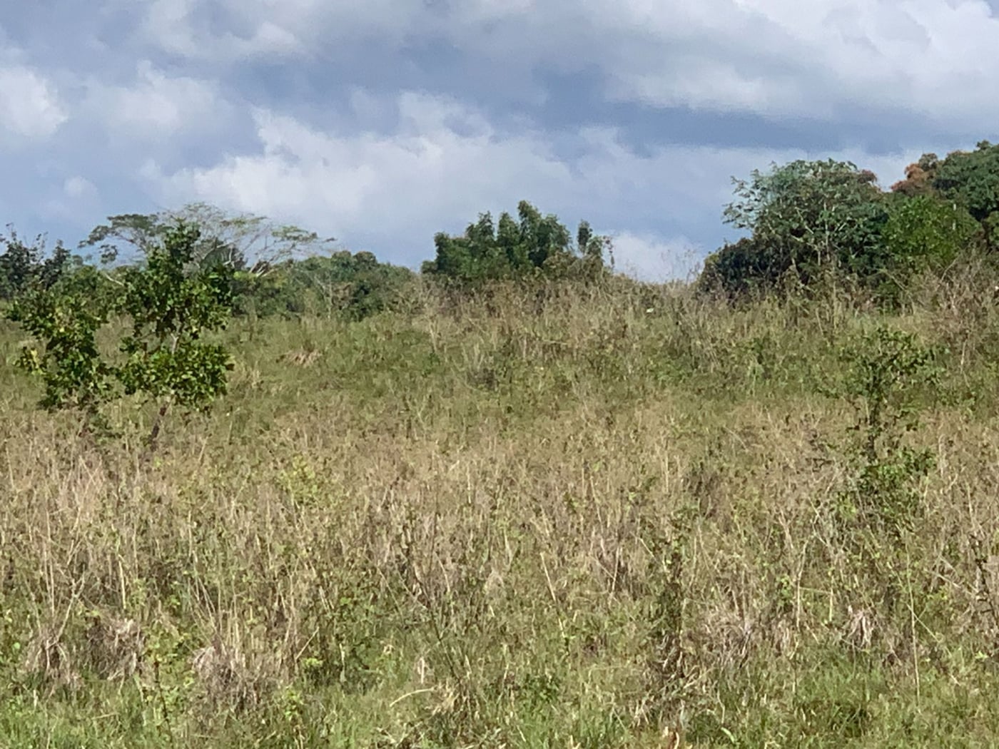 TERRENO EN VENTA CALLE DUARTE SANTO DOMINGO OESTE – foto 3