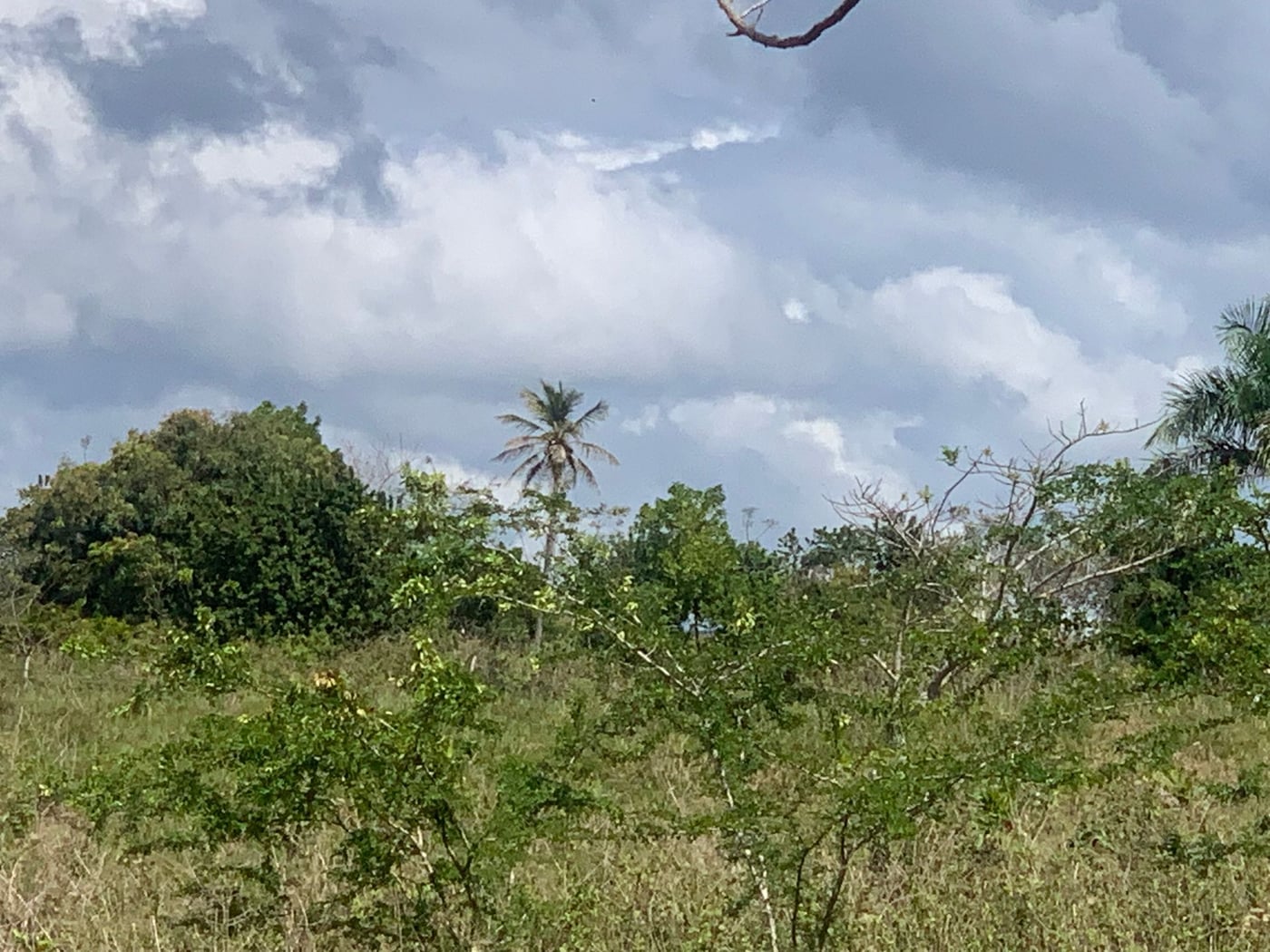 TERRENO EN VENTA CALLE DUARTE SANTO DOMINGO OESTE – foto 2