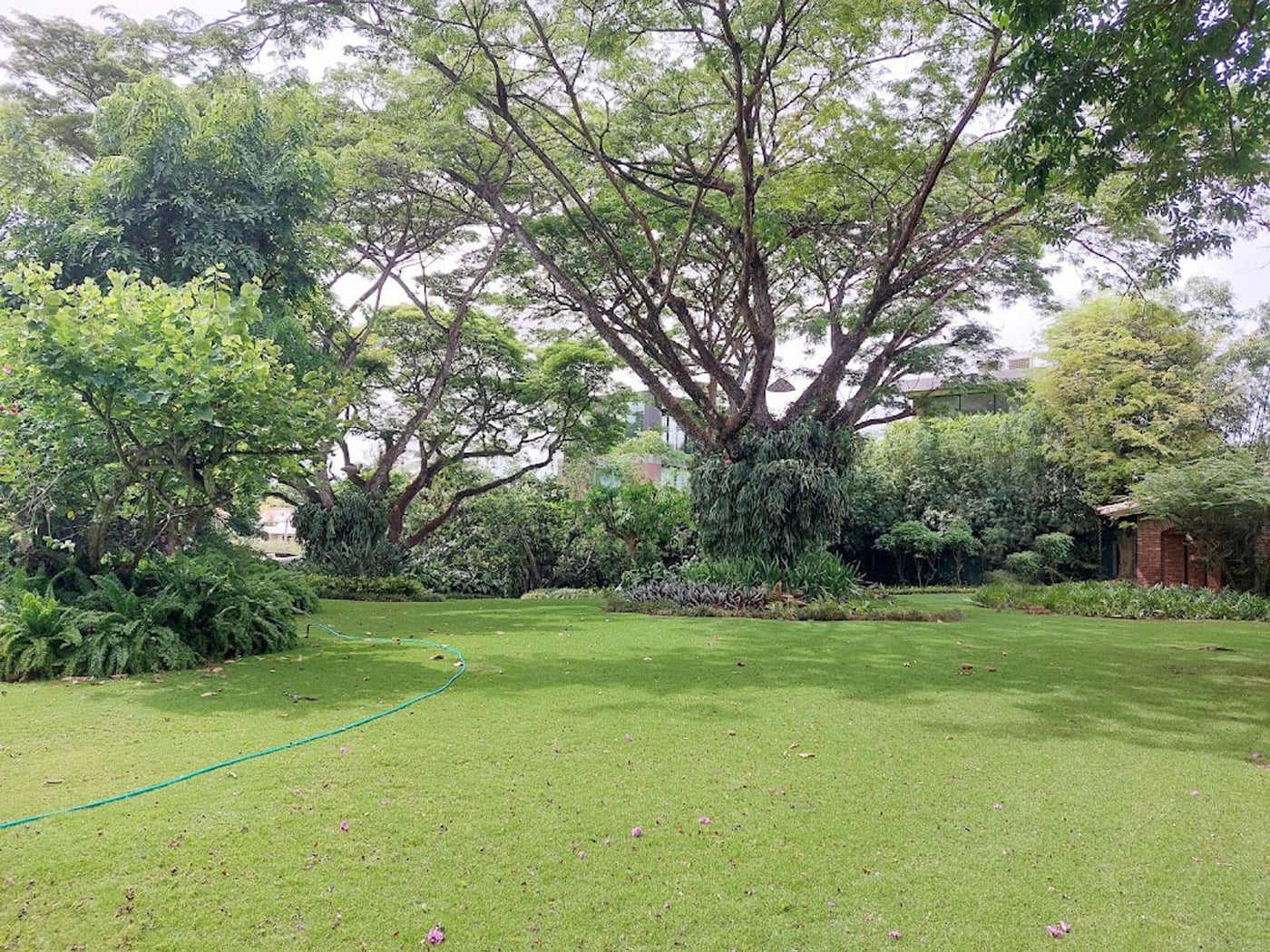 Exclusivo solar en Arroyo Hondo próximo Los Pinos – foto 6