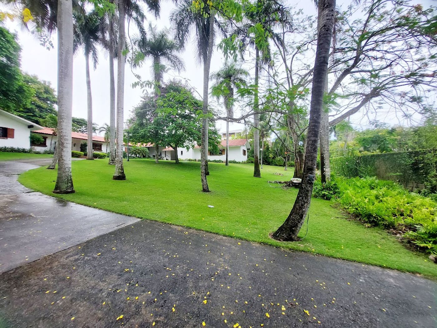 Exclusivo solar en Arroyo Hondo próximo Los Pinos – foto 4