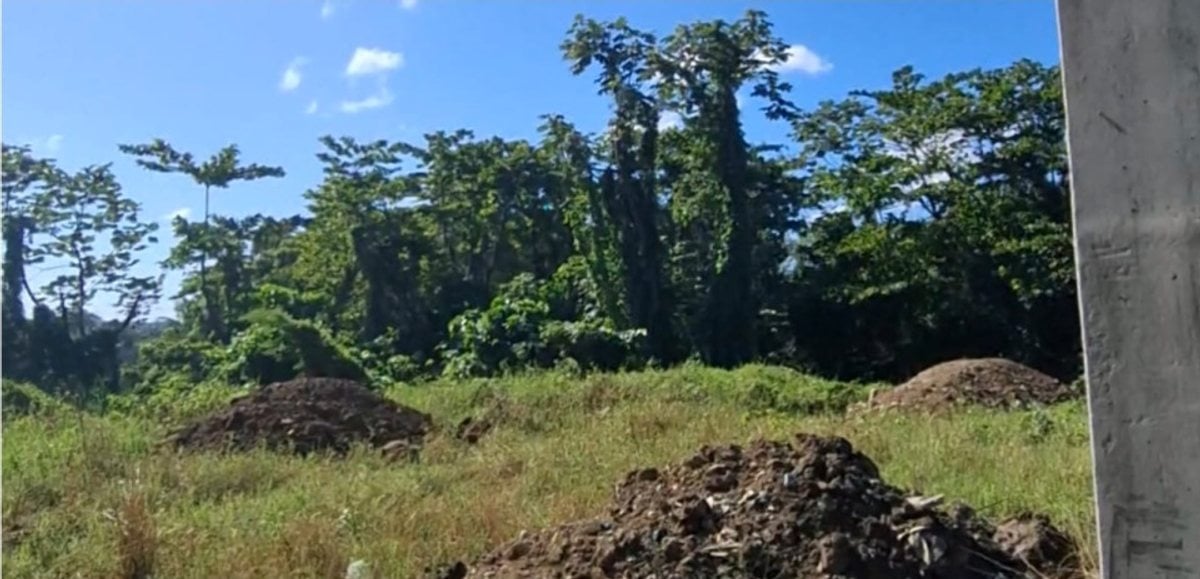 Venta de terreno en Hato Nuevo – foto 4