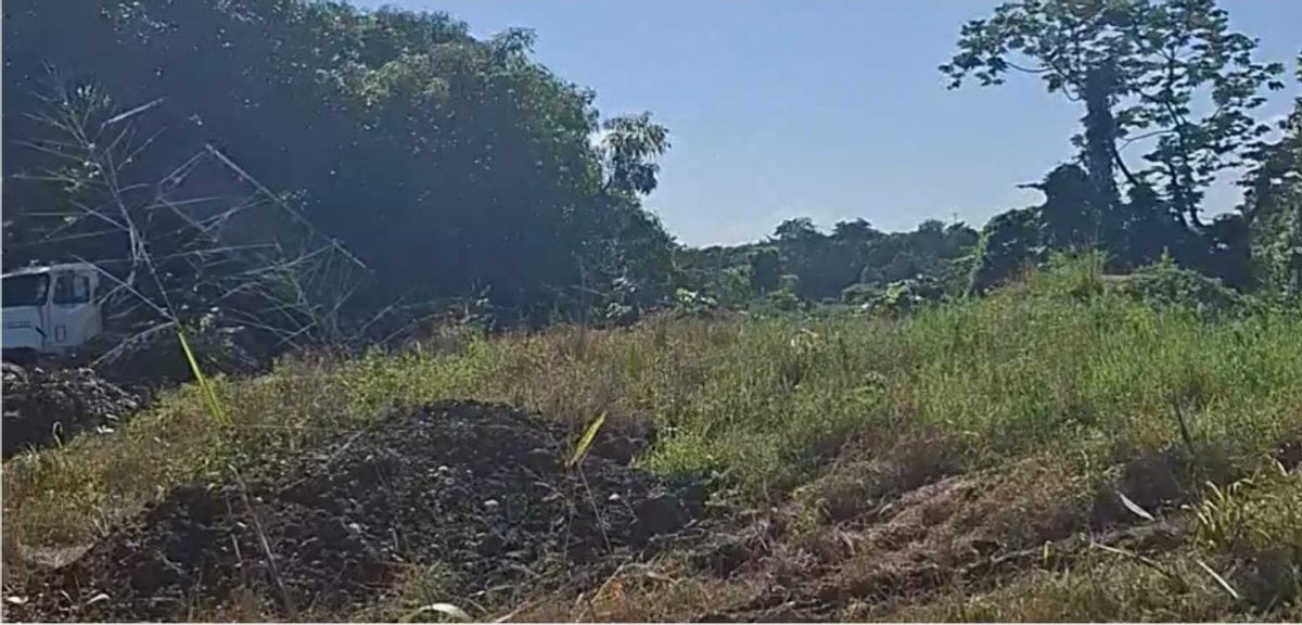 Venta de terreno en Hato Nuevo – foto 5