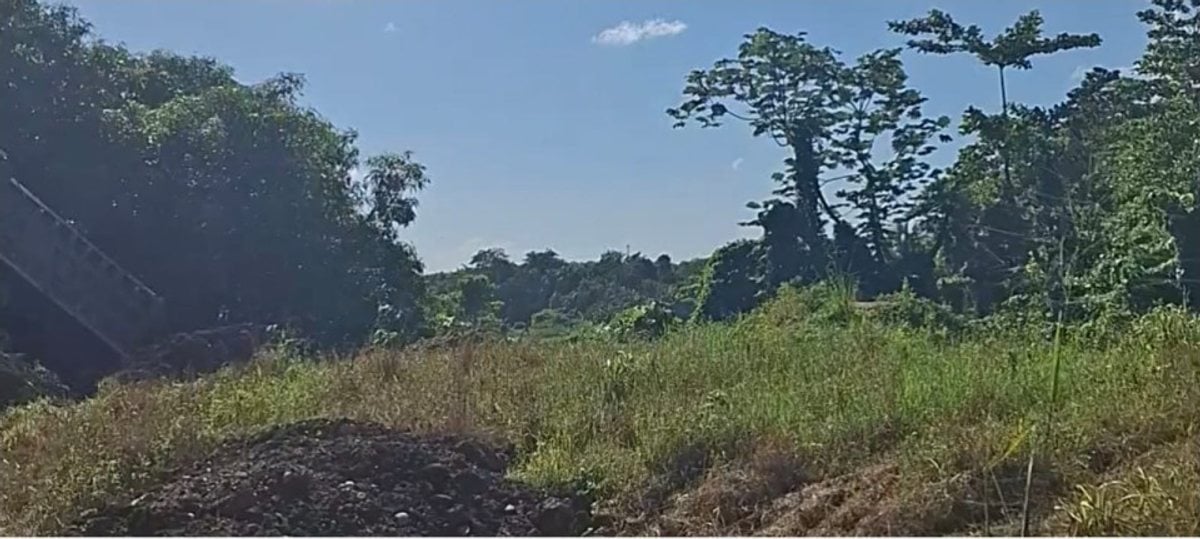 Venta de terreno en Hato Nuevo – foto 2