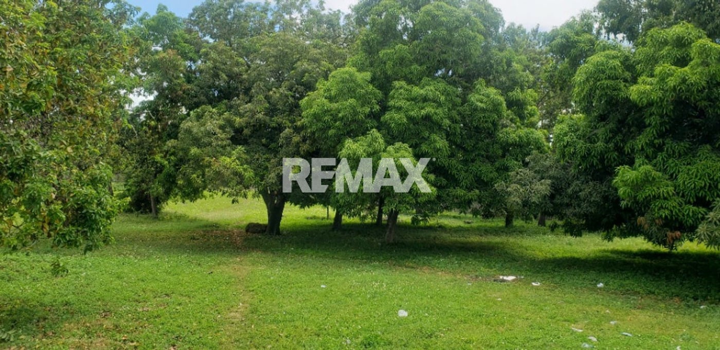 TERRENO EN VENTA 8378 M² LAS TORONJAS SANTO DOMING – foto 2